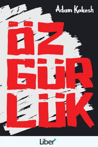 cukurovakitap.com.tr cukurovakitap.com.tr