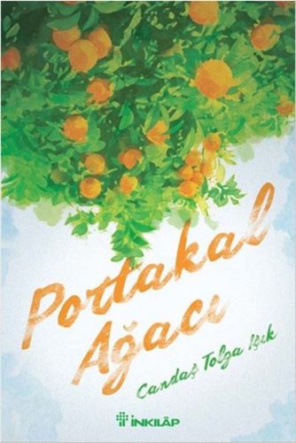 cukurovakitap.com.tr