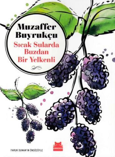 cukurovakitap.com.tr cukurovakitap.com.tr