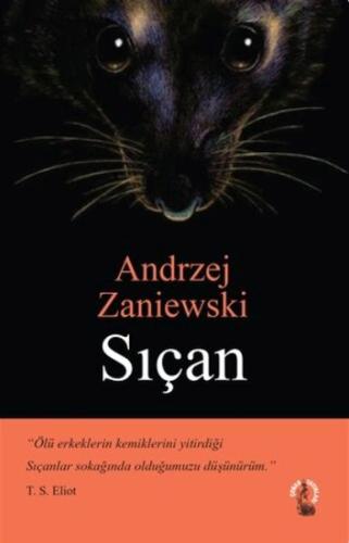Sıçan Sıçan