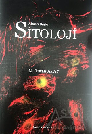 Sitoloji