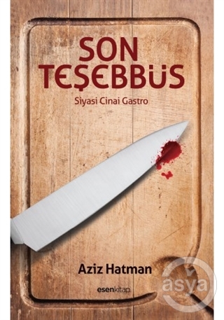 Son Teşebbüs