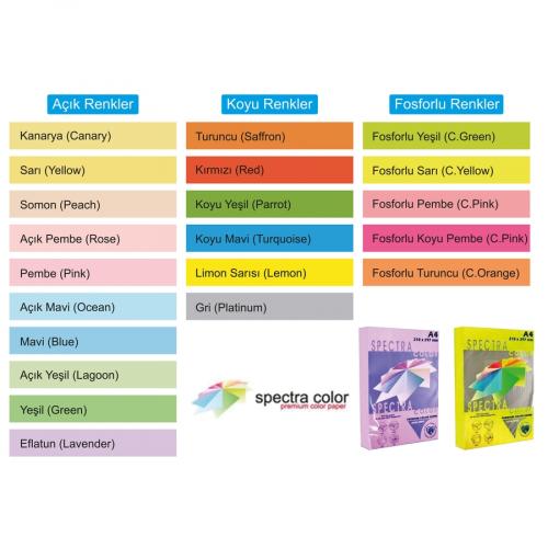 SPECTRA COLOR FOTOKOPİ KAĞIDI FOSFORLU YEŞİL A4 500 LÜ 80 Gram ---- DLS (tek ürün gönderilecektir, fotoğraf temsilidir)