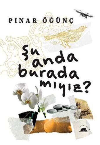 Şu Anda Burada Mıyız?