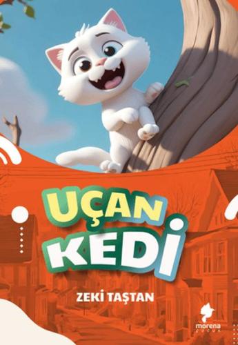 Uçan Kedi Uçan Kedi