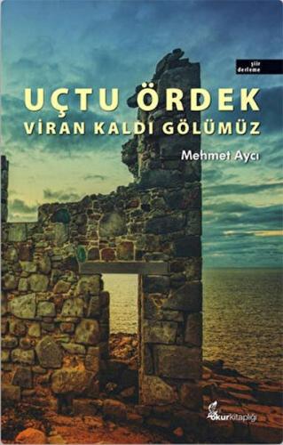 cukurovakitap.com.tr cukurovakitap.com.tr