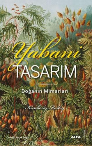 Yabani Tasarım Yabani Tasarım