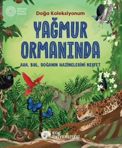 Yağmur Ormanında