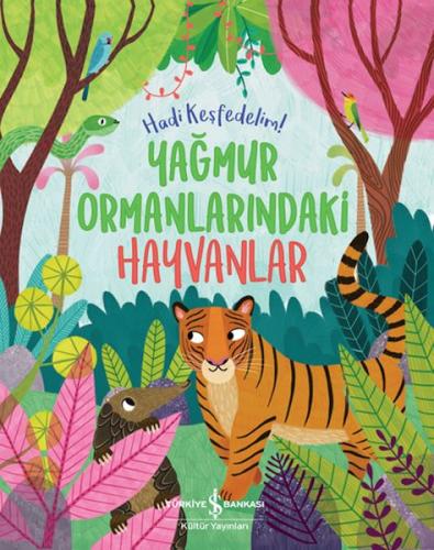 Yağmur Ormanlarındaki Hayvanlar – Hadi Keşfedelim!