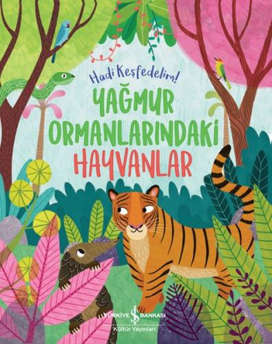 Yağmur Ormanlarındaki Hayvanlar – Hadi Keşfedelim!