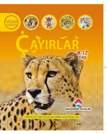 cukurovakitap.com.tr cukurovakitap.com.tr