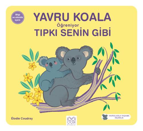 Yavru Koala Öğreniyor Tıpkı Senin Gibi Yavru Koala Öğreniyor Tıpkı Senin Gibi