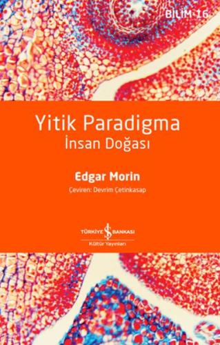 Yitik Paradigma: İnsan Doğası Yitik Paradigma: İnsan Doğası