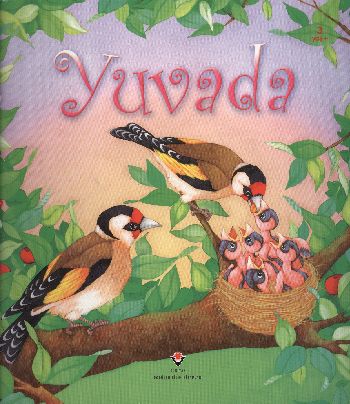 Yuvada (Ciltsiz)
