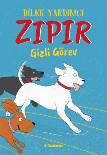 Zipir Gizli Görev Zipir Gizli Görev